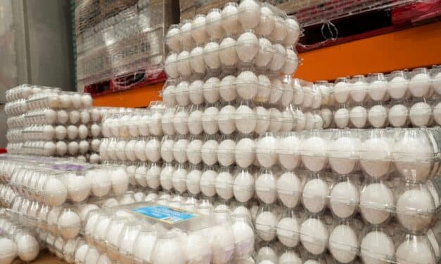 Nearly two million eggs recalled as CDC and FDA investigate multistate salmonella outbreak